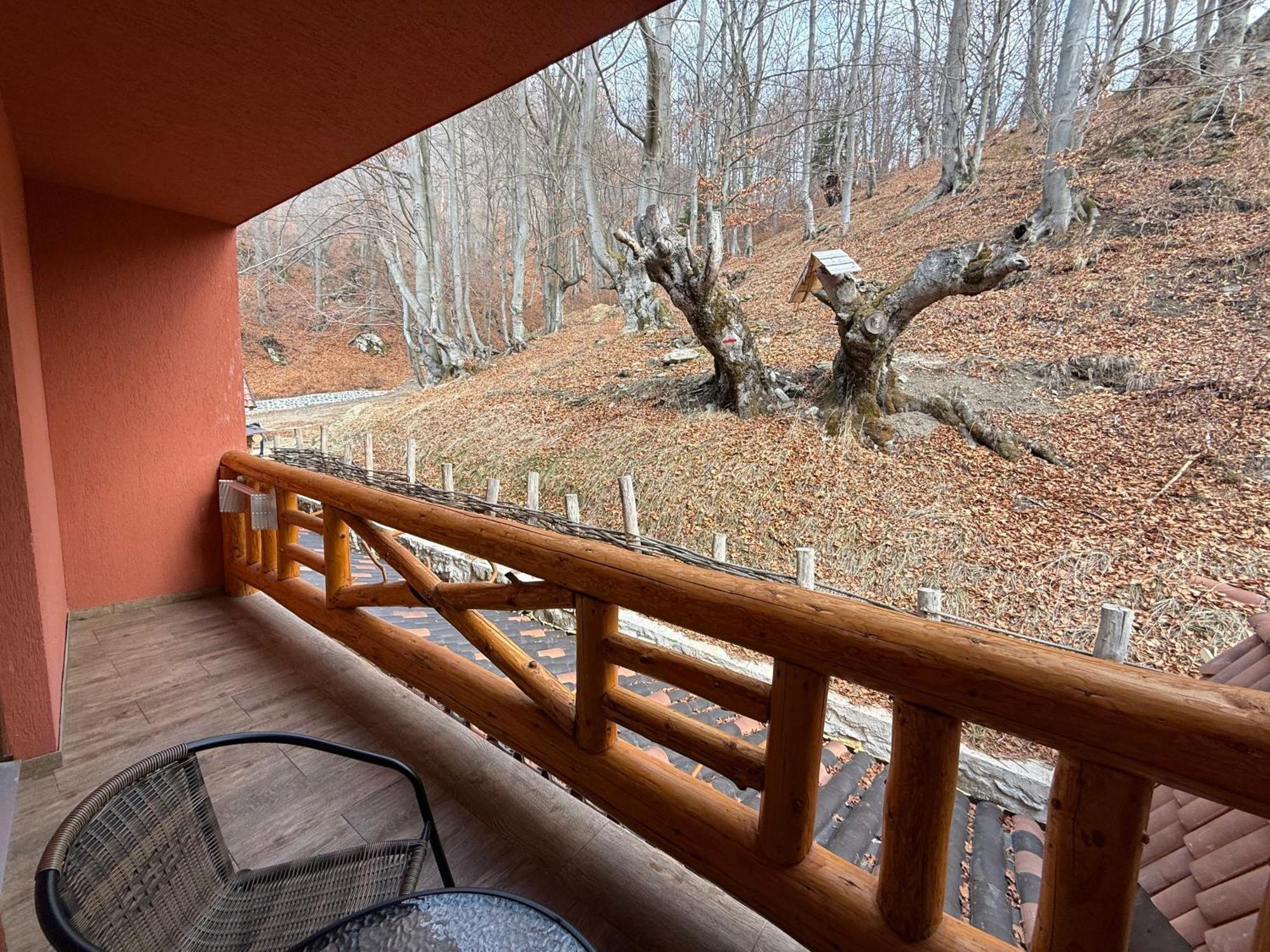 Conacul Radacinilor Hotel Petrosani Luaran gambar
