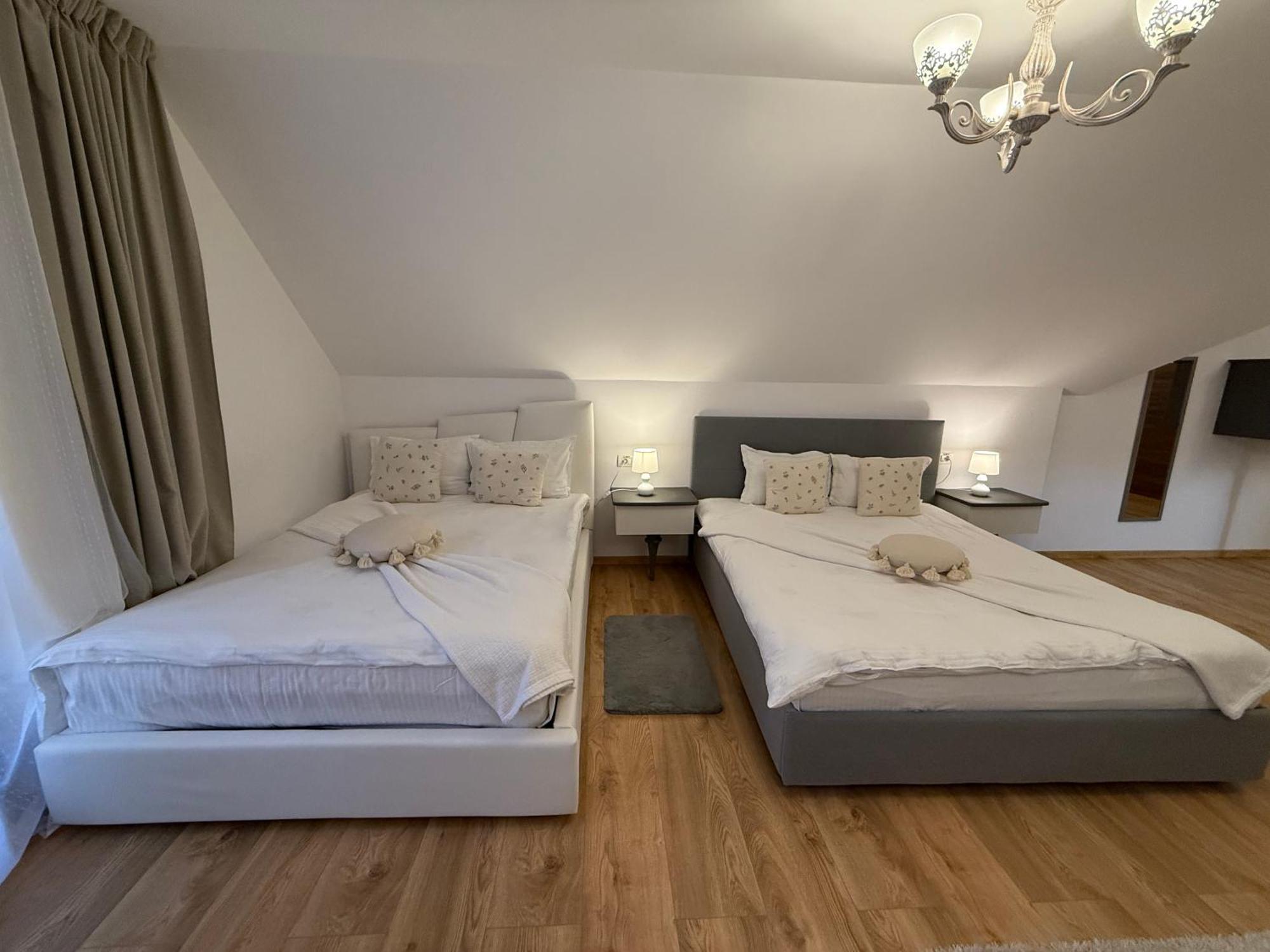Conacul Radacinilor Hotel Petrosani Luaran gambar
