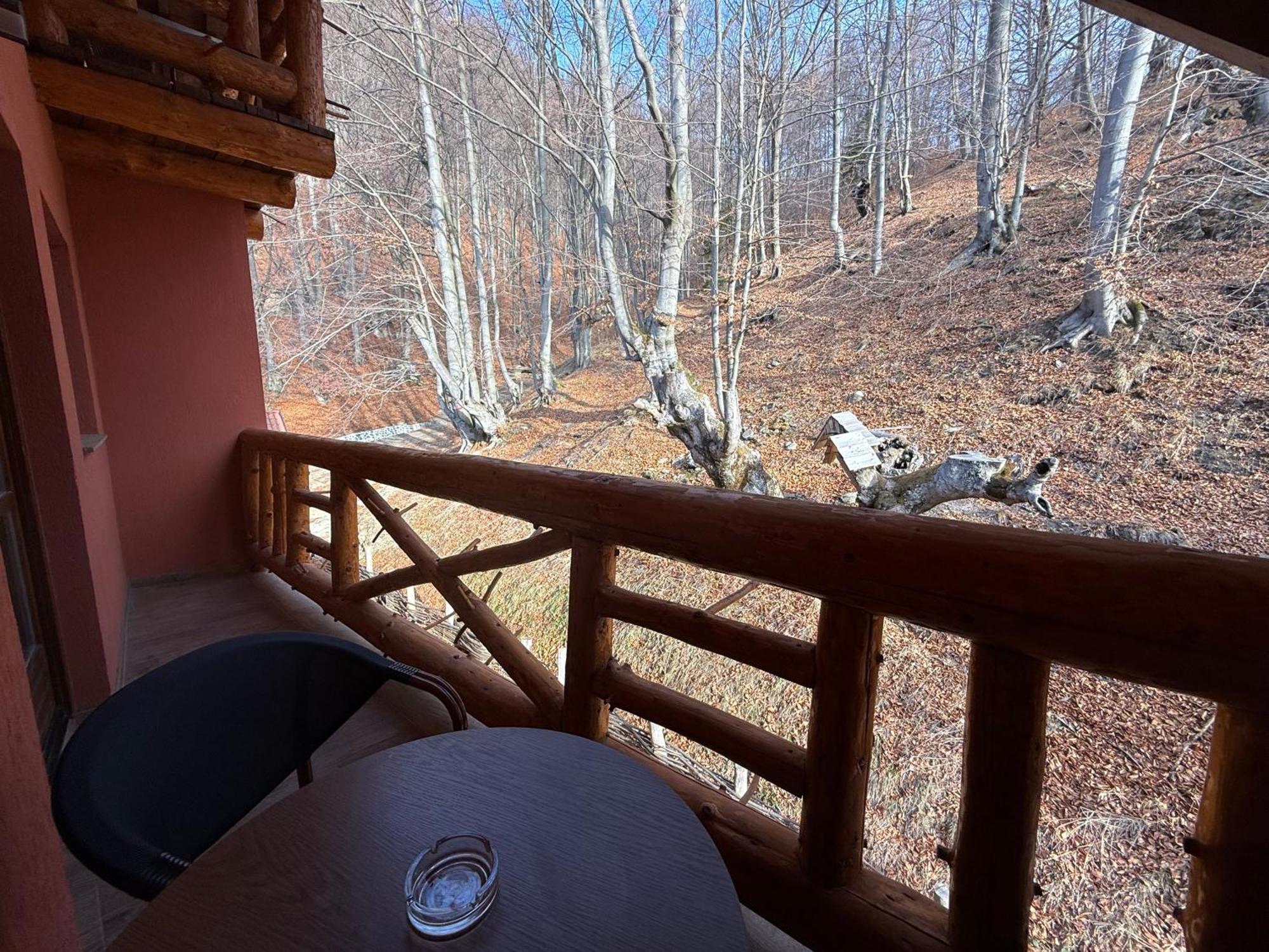 Conacul Radacinilor Hotel Petrosani Luaran gambar