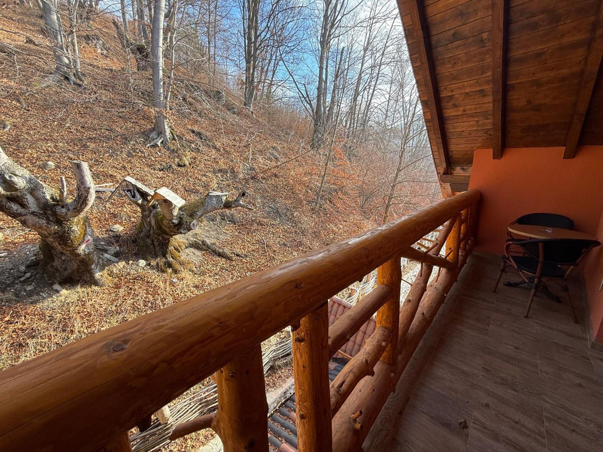 Conacul Radacinilor Hotel Petrosani Luaran gambar